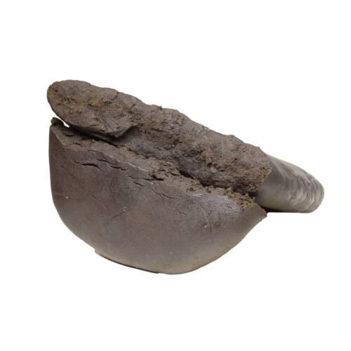 Kabul Gold Hash