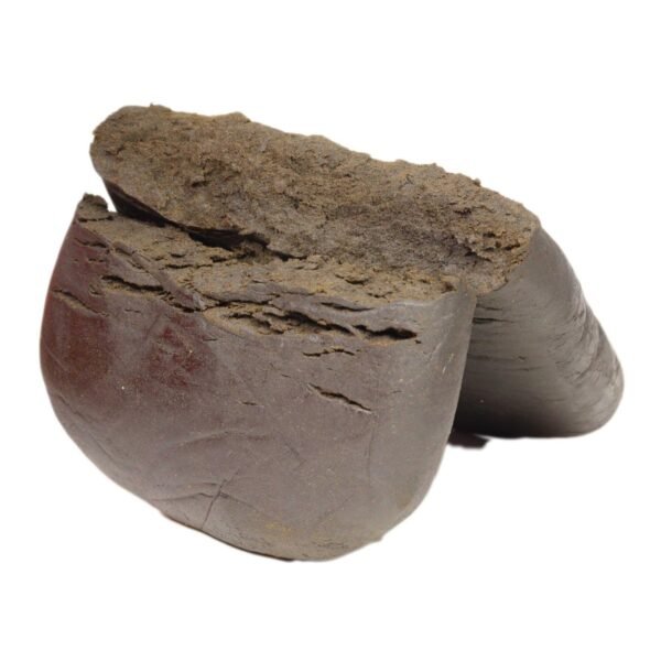 Orca-hash-wholesale-1536x1536 Orca Hash